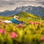 Bergrast - Charming Countryhouse&summercard Aparthotel Ramsau am Dachstein